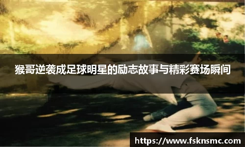 jbo竞博电竞官方网站